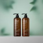 [ESHUMI] Jojoba Oil & Protein Shampoo, Treatment - Balanced Care for All Scalps, 5 Proteins, Natural Jojoba, Olive & Shea Butter for Damaged Hair - Made in Korea